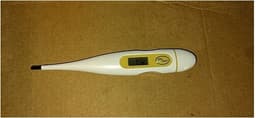 Digital Thermometer